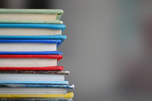 Image for Nurse Educator Role: A Guide For The New Nurse Educator